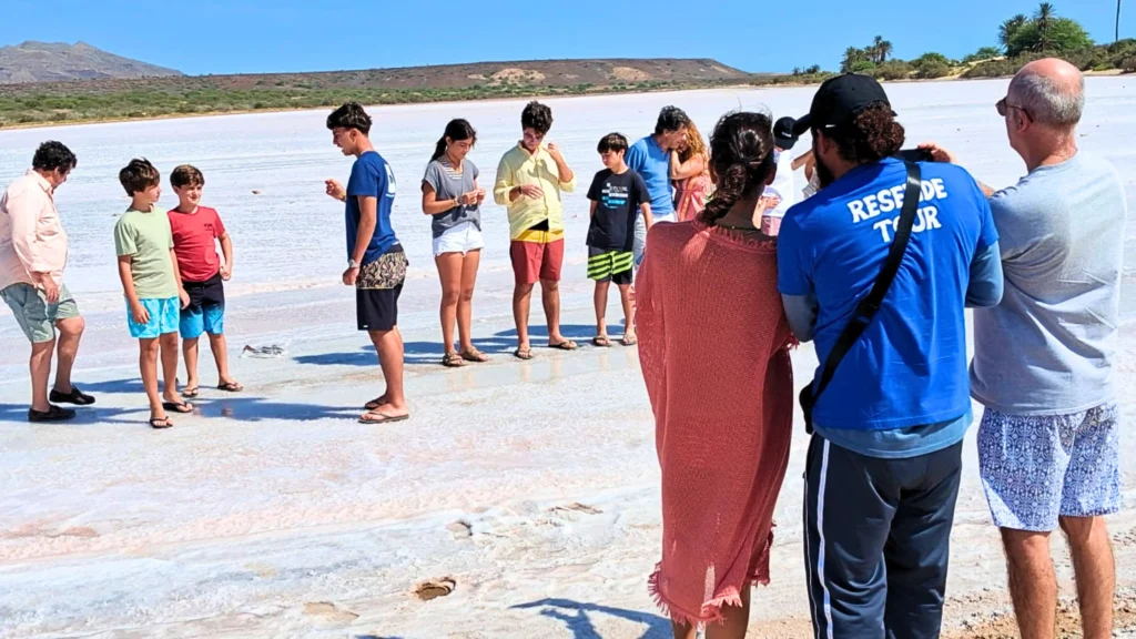 Salinas Group Tours